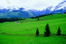 瑞士风情0021