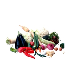 蔬菜与水果0035