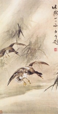 中国现代花鸟0077