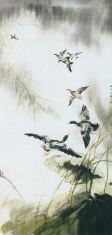 中国现代花鸟0190