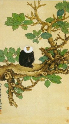 中国现代花鸟0158