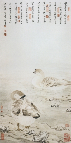 中国现代花鸟0131