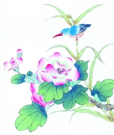 花鸟国画0043