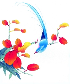 花鸟国画0042