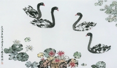 中国现代花鸟0155