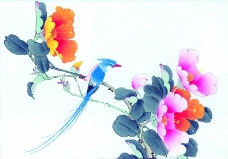 花鸟国画0021