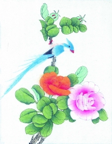 花鸟国画0045