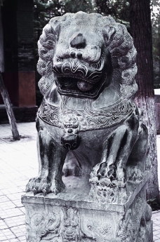 中国雕刻0095