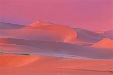 沙漠丽景0132
