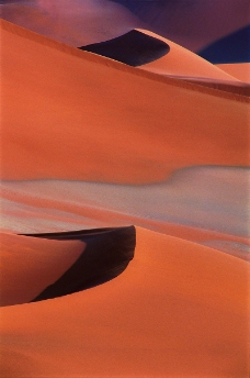 沙漠丽景0255