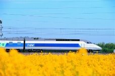 火车百科0016