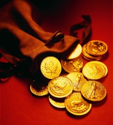 黄金货币0036