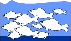 海洋动物0352