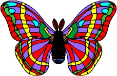 昆虫蝴蝶0185