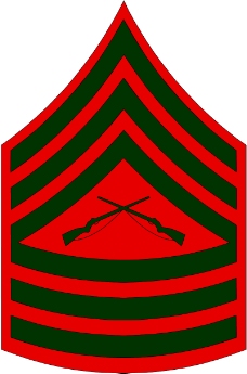 军队徽章0263