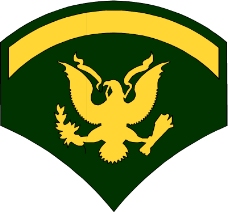 军队徽章0304