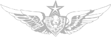 军队徽章0118