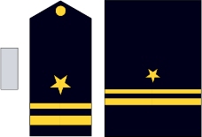 军队徽章0177