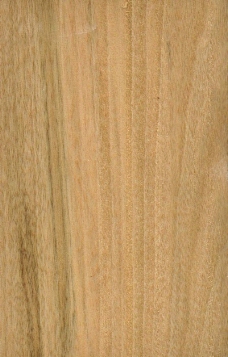 木纹0078